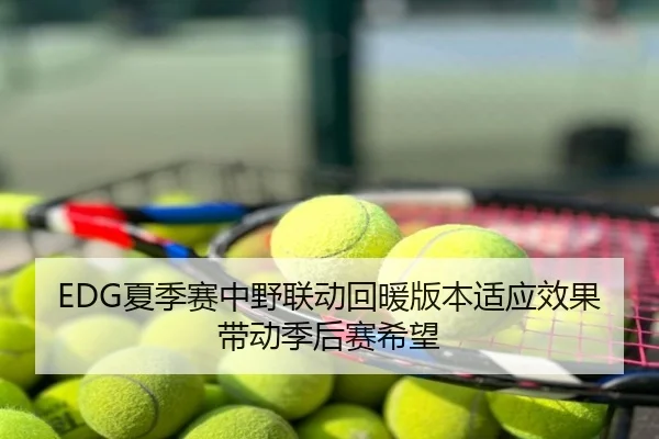 EDG夏季赛中野联动回暖版本适应效果带动季后赛希望