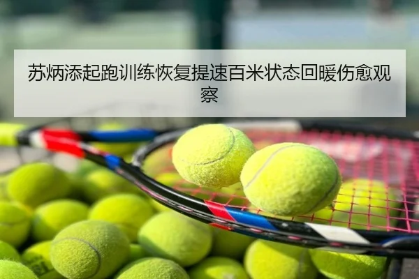 苏炳添起跑训练恢复提速百米状态回暖伤愈观察