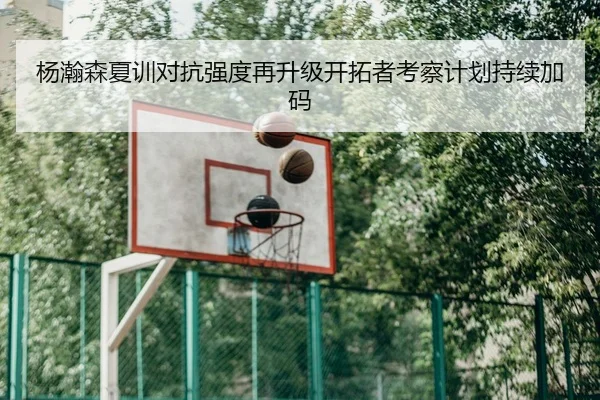 杨瀚森夏训对抗强度再升级开拓者考察计划持续加码